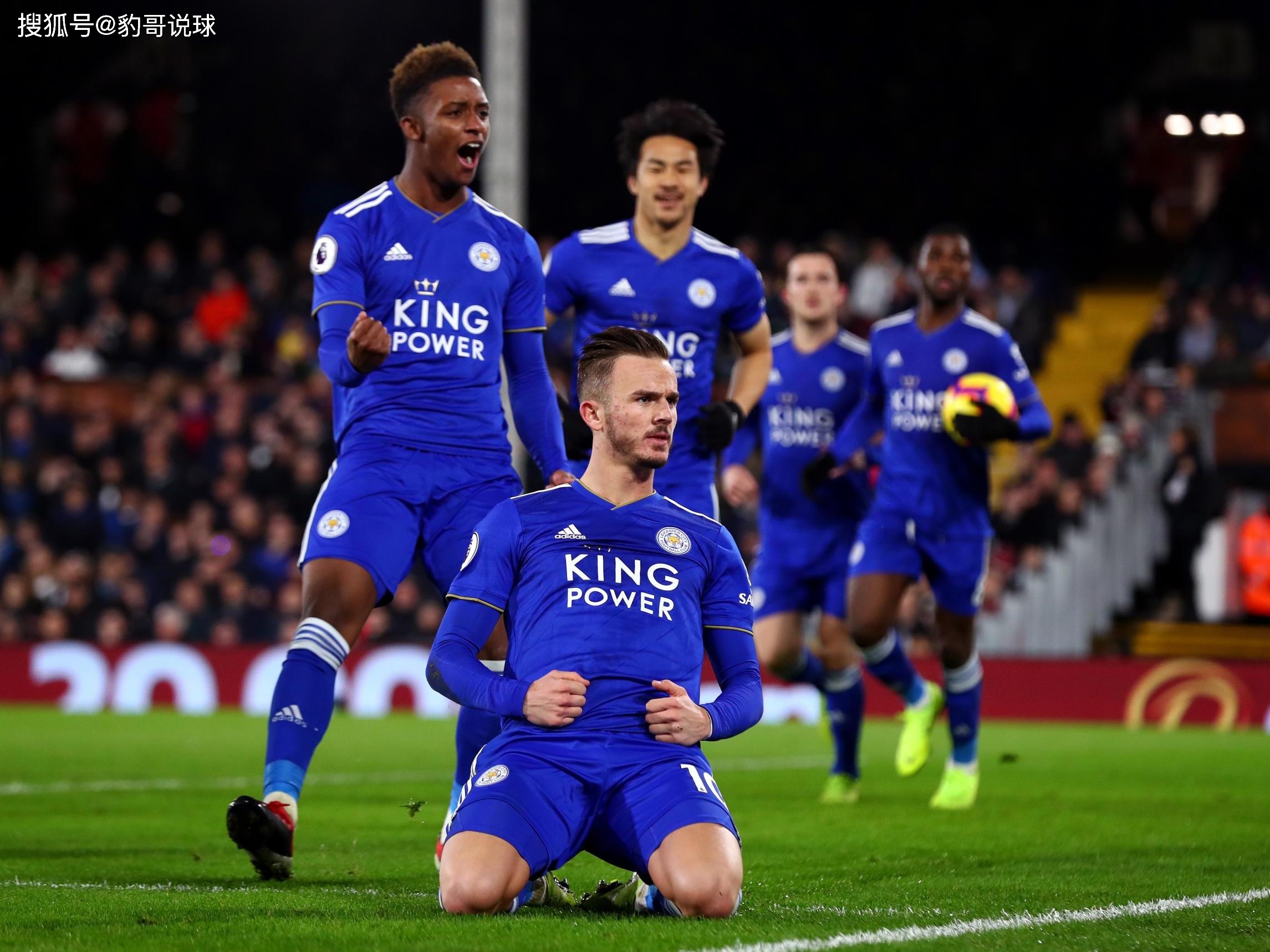 国网球在培 国网球在培