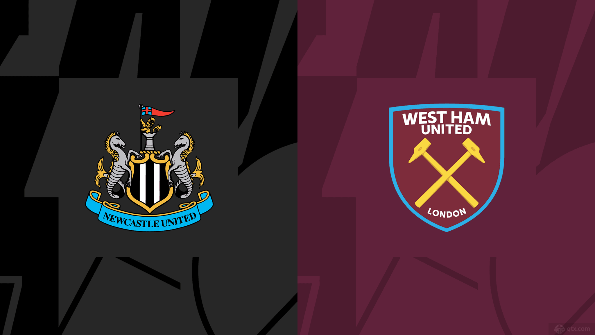 不僅展現了 不僅展現了